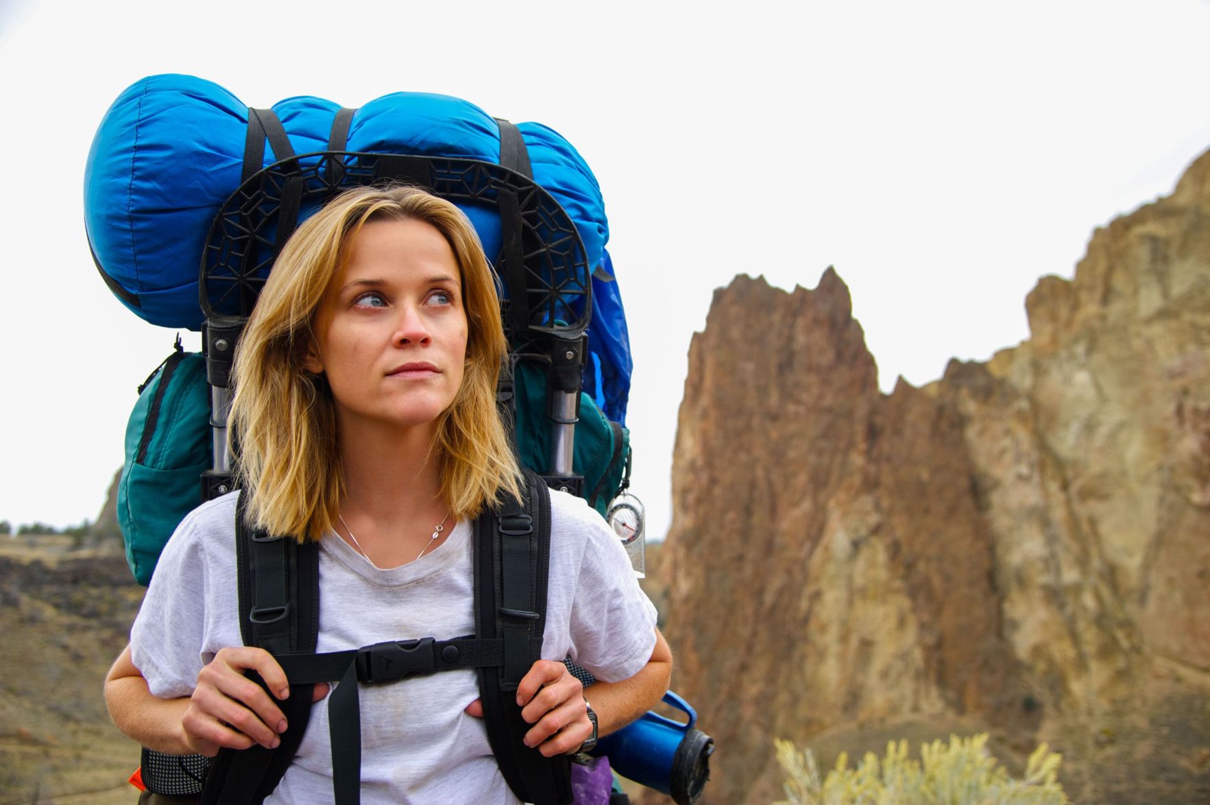 'Wild' finds salvation in the woods (copy)
